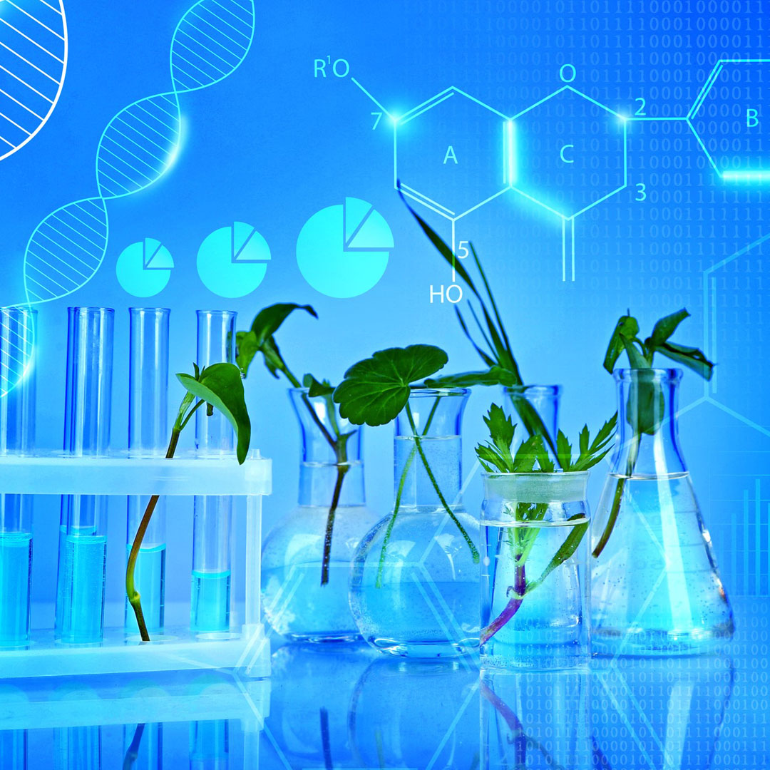 Carefully Selected Botanicals | SK Botanicals