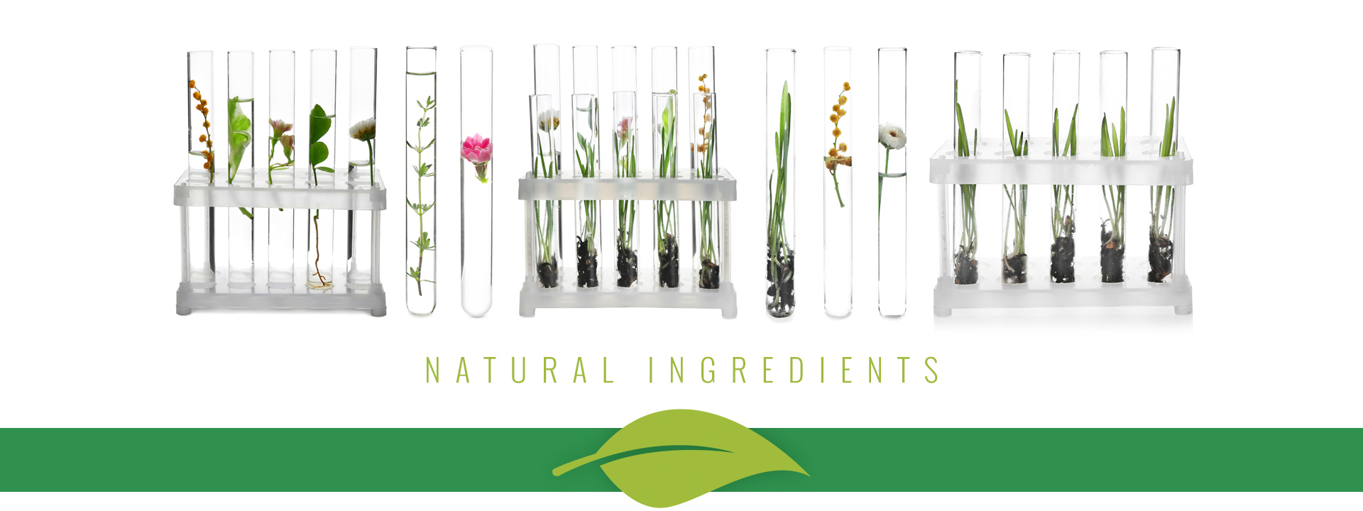 Natural Ingredients